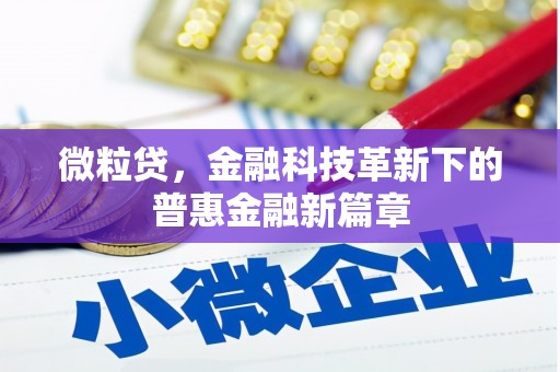陆良微粒贷，金融科技革新下的普惠金融新篇章