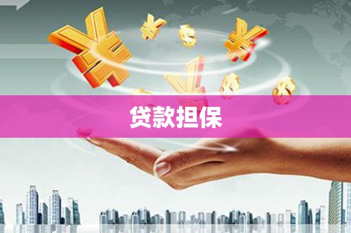 陆良贷款担保