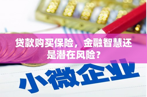 陆良贷款购买保险，金融智慧还是潜在风险？
