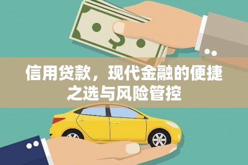 陆良信用贷款，现代金融的便捷之选与风险管控