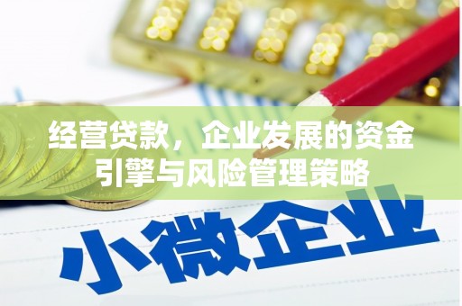 陆良经营贷款，企业发展的资金引擎与风险管理策略