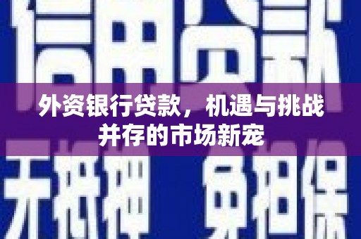 陆良外资银行贷款，机遇与挑战并存的市场新宠