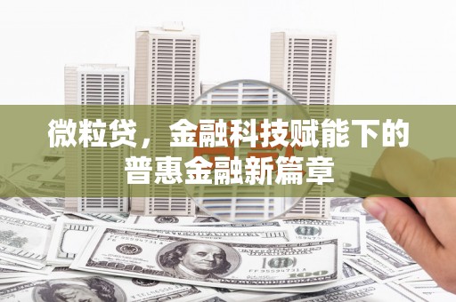 陆良微粒贷，金融科技赋能下的普惠金融新篇章