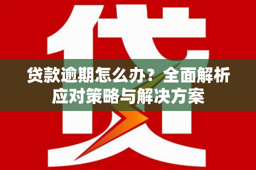 陆良贷款逾期怎么办？全面解析应对策略与解决方案
