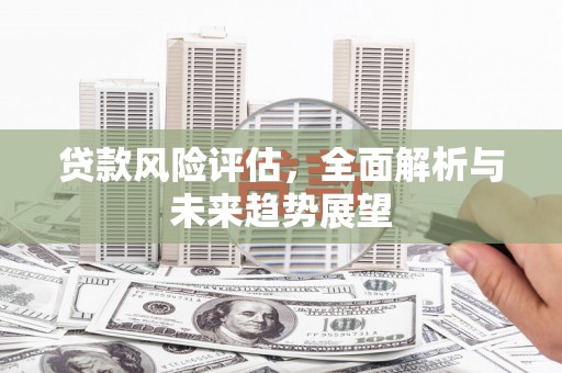 陆良贷款风险评估，全面解析与未来趋势展望