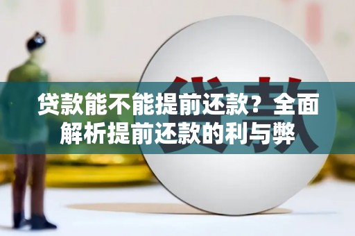 陆良贷款能不能提前还款？全面解析提前还款的利与弊