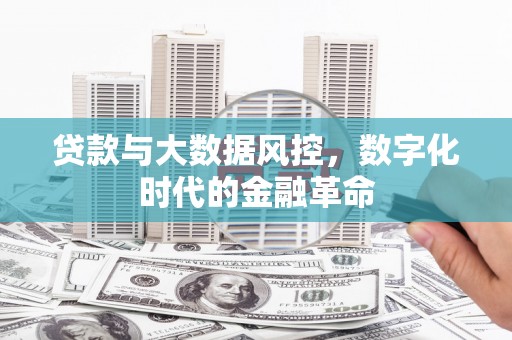 陆良贷款与大数据风控，数字化时代的金融革命