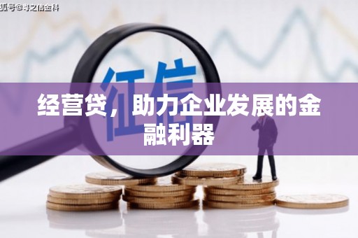 陆良经营贷，助力企业发展的金融利器