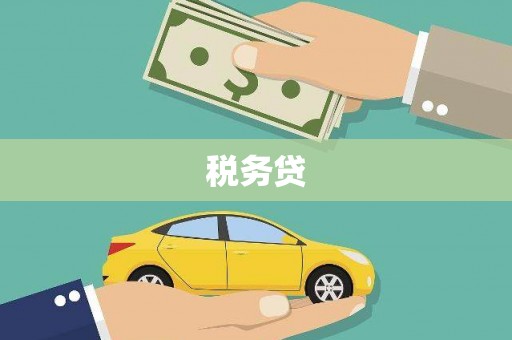 陆良税务贷