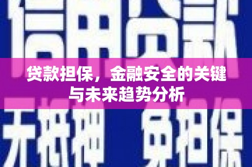 陆良贷款担保，金融安全的关键与未来趋势分析