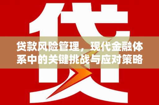 陆良贷款风险管理，现代金融体系中的关键挑战与应对策略