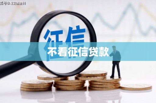 陆良不看征信贷款
