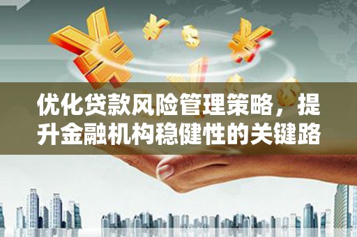陆良优化贷款风险管理策略，提升金融机构稳健性的关键路径