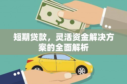 陆良短期贷款，灵活资金解决方案的全面解析
