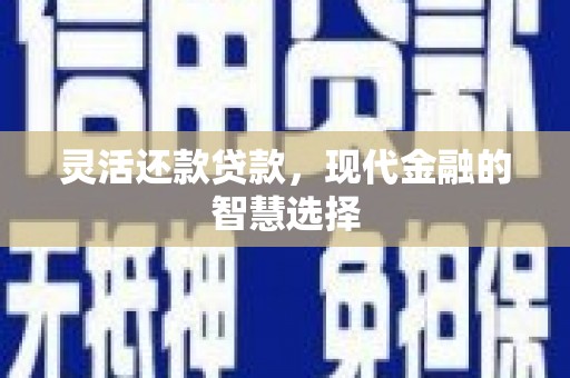 陆良灵活还款贷款，现代金融的智慧选择
