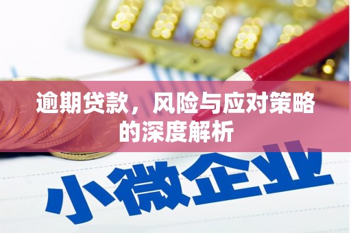 陆良逾期贷款，风险与应对策略的深度解析