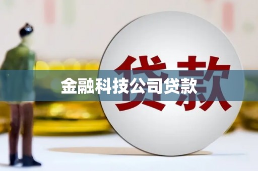 陆良金融科技公司贷款