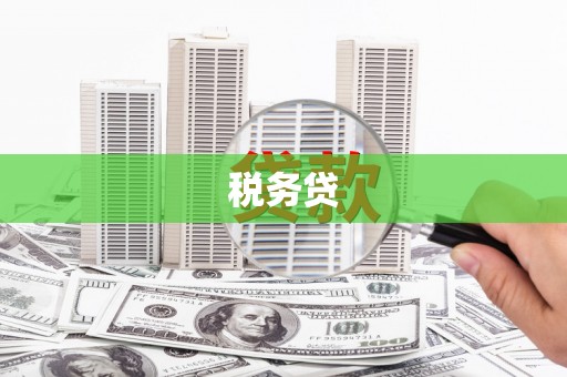 陆良税务贷