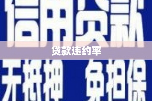 陆良贷款违约率