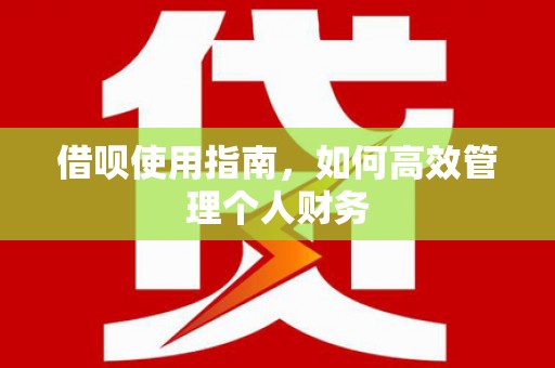 陆良借呗使用指南，如何高效管理个人财务