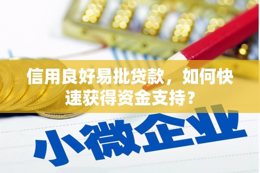 陆良信用良好易批贷款，如何快速获得资金支持？