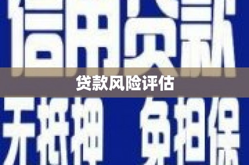 陆良贷款风险评估