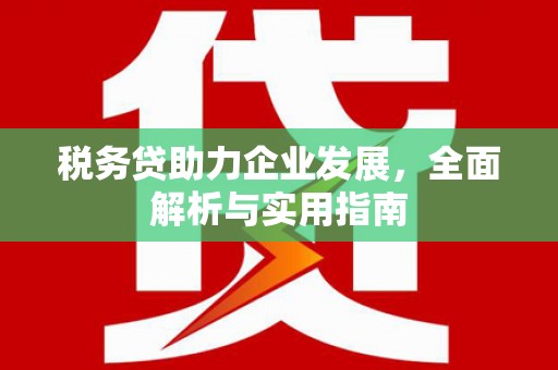 陆良税务贷助力企业发展，全面解析与实用指南