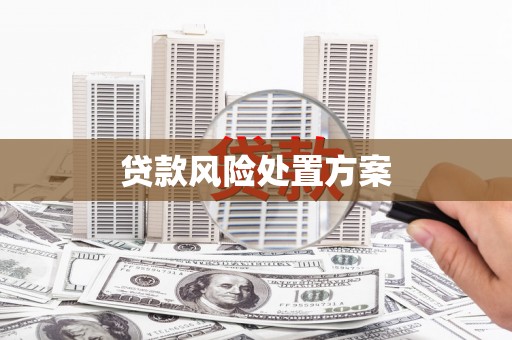 陆良贷款风险处置方案