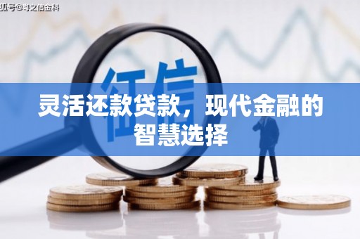 陆良灵活还款贷款，现代金融的智慧选择