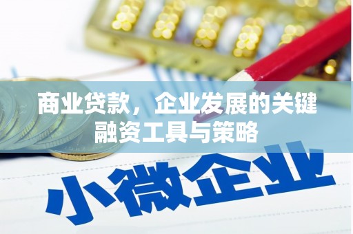 陆良商业贷款，企业发展的关键融资工具与策略