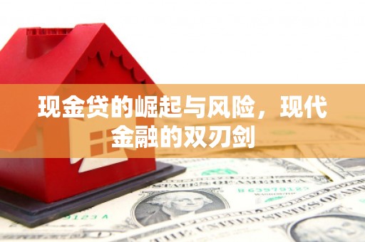 陆良现金贷的崛起与风险，现代金融的双刃剑