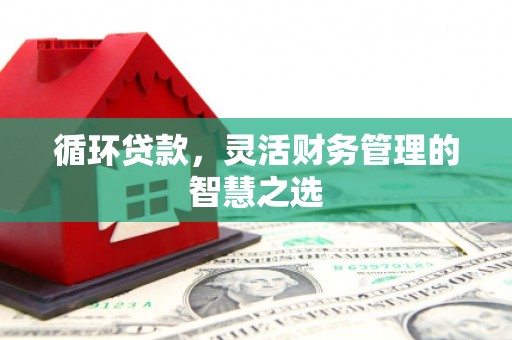 陆良循环贷款，灵活财务管理的智慧之选