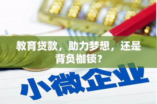 陆良教育贷款，助力梦想，还是背负枷锁？