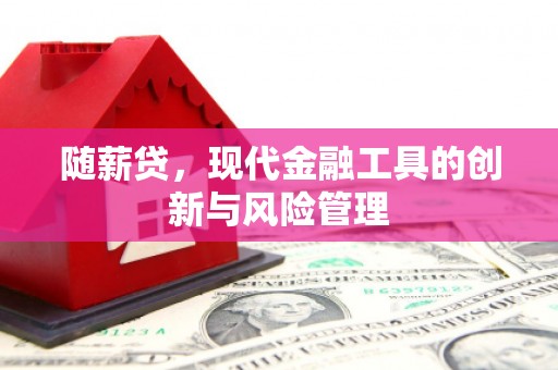陆良随薪贷，现代金融工具的创新与风险管理
