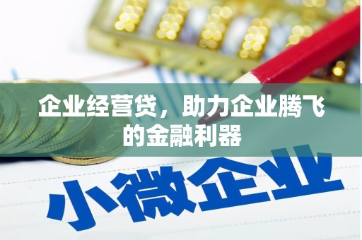 陆良企业经营贷，助力企业腾飞的金融利器