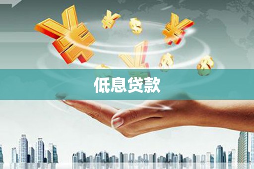 陆良低息贷款