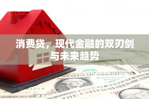 陆良消费贷，现代金融的双刃剑与未来趋势