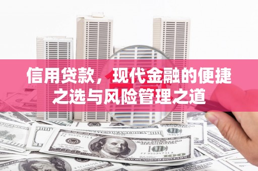 陆良信用贷款，现代金融的便捷之选与风险管理之道