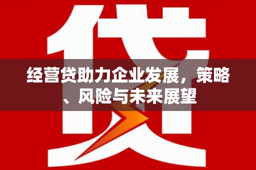 陆良经营贷助力企业发展，策略、风险与未来展望