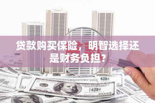 陆良贷款购买保险，明智选择还是财务负担？