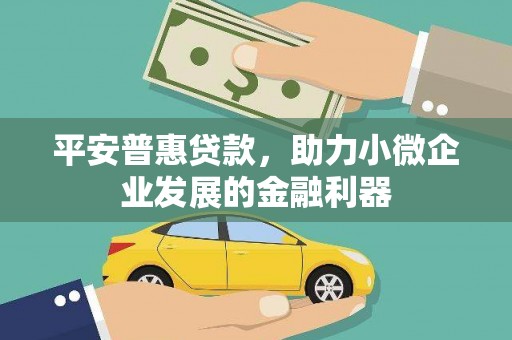 陆良平安普惠贷款，助力小微企业发展的金融利器
