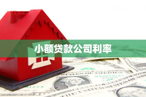 陆良小额贷款公司利率