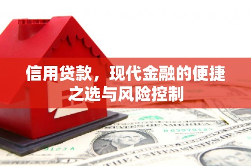 陆良信用贷款，现代金融的便捷之选与风险控制