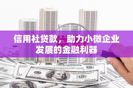 陆良信用社贷款，助力小微企业发展的金融利器
