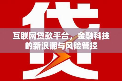 陆良互联网贷款平台，金融科技的新浪潮与风险管控