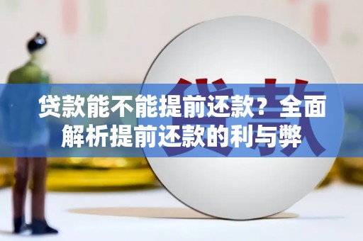 陆良贷款能不能提前还款？全面解析提前还款的利与弊