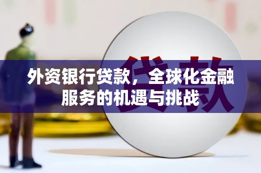 陆良外资银行贷款，全球化金融服务的机遇与挑战
