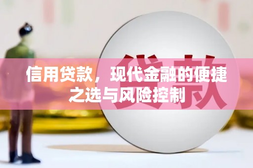 陆良信用贷款，现代金融的便捷之选与风险控制