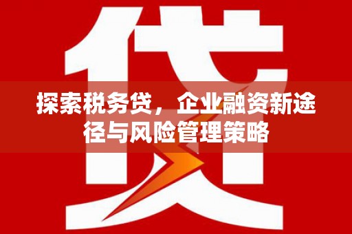 陆良探索税务贷，企业融资新途径与风险管理策略
