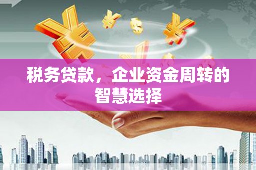 陆良税务贷款，企业资金周转的智慧选择